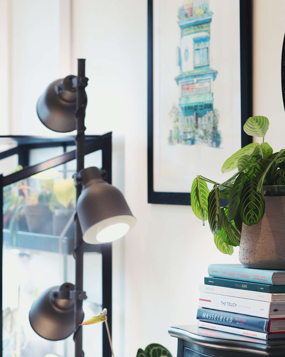 Best Grow Lights for Indoor Plants