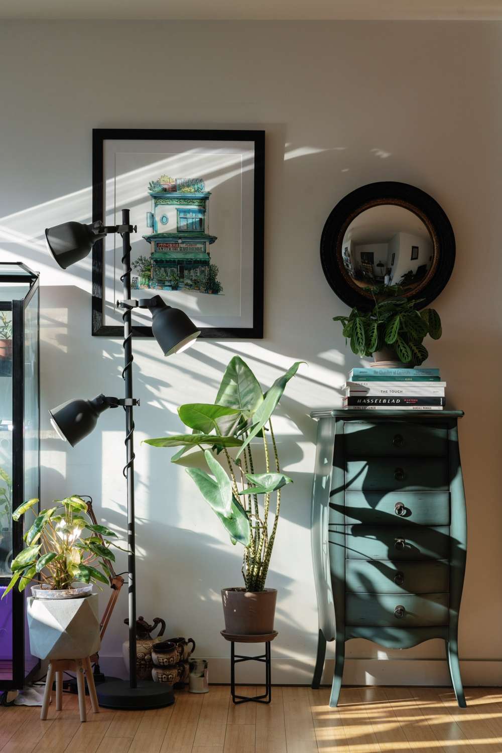 Best Grow Lights for Indoor Plants Ikea grow lights