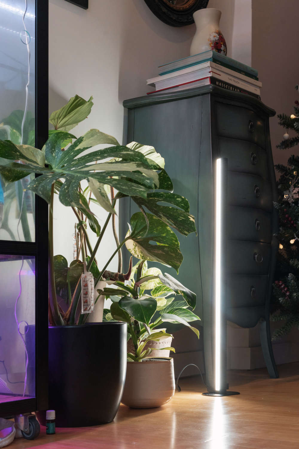 Best Grow Lights for Indoor Plants Mother Life Plant Spectrum32