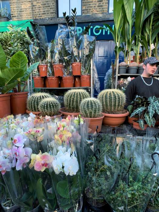 Columbia-road-flower-market_10